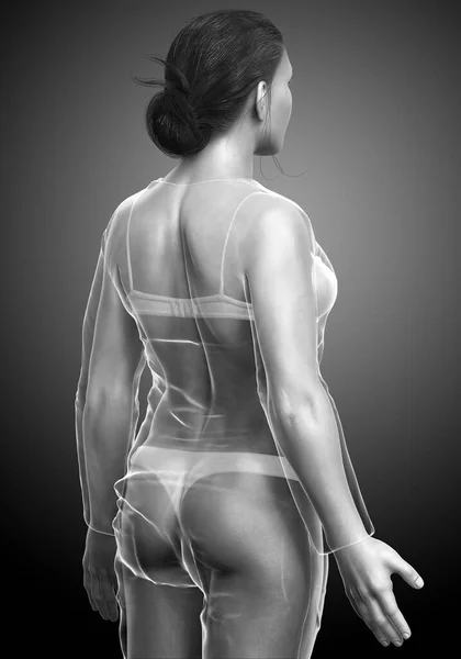 Rendered Illustration Female Body — Stock Photo, Image