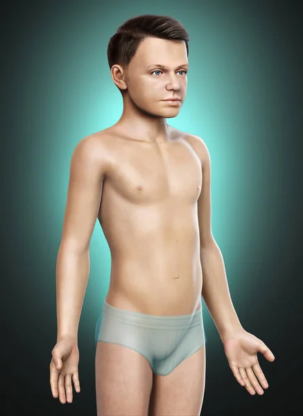 Vykreslené Ilustrace Mladého Chlapce Tělo — Stock fotografie