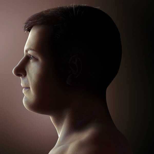 3d rendered medically accurate illustration of a male head anatomy