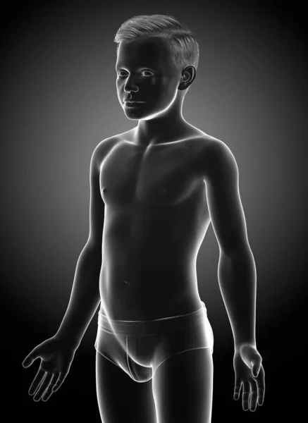Gerenderte Illustration Des Jungen Körpers — Stockfoto
