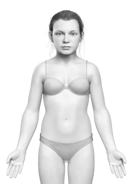 Genç Kızın Vücudunun Çizimi — Stok fotoğraf