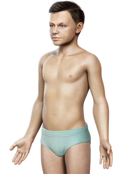 Rendered Illustration Young Boy Body — Stock Photo, Image