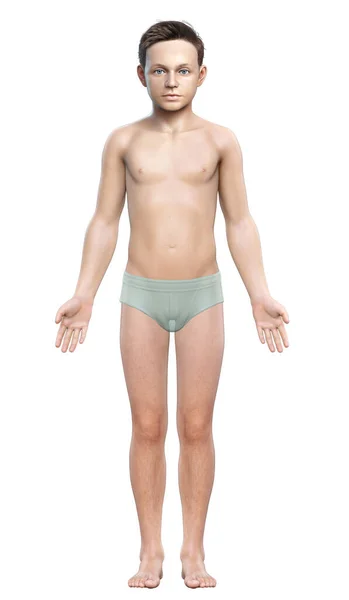 3Dレンダリングされた若い男の子の体のイラスト — ストック写真
