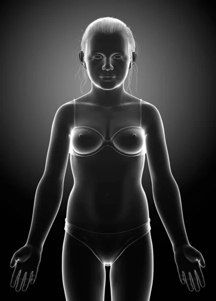 3Dレンダリングイラストの若い女の子の体 — ストック写真