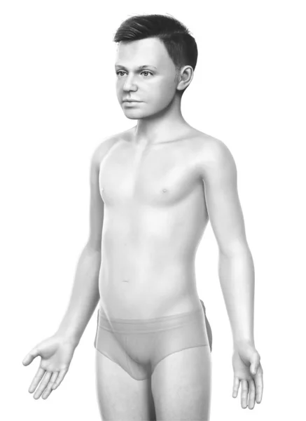 Renderizado Ilustración Del Cuerpo Del Niño — Foto de Stock