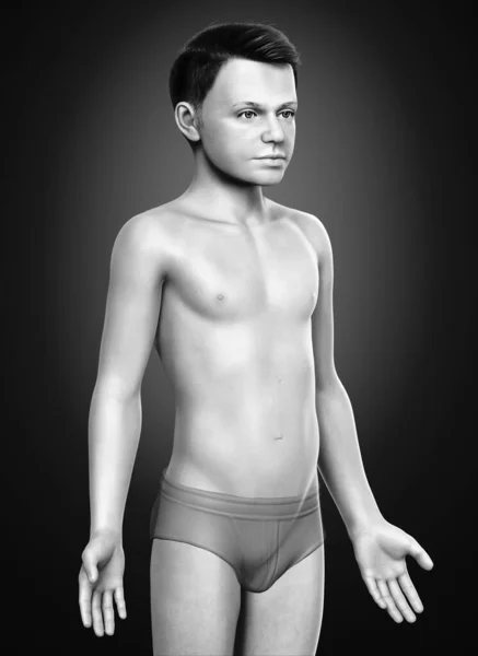 Vykreslené Ilustrace Mladého Chlapce Tělo — Stock fotografie