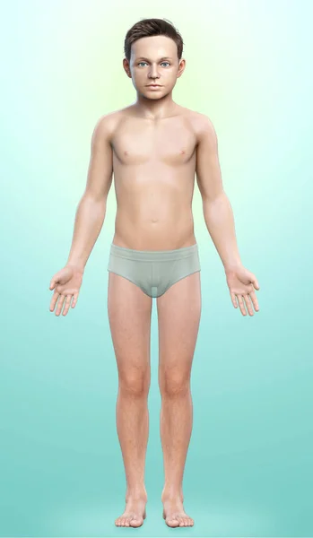 3Dレンダリングされた若い男の子の体のイラスト — ストック写真