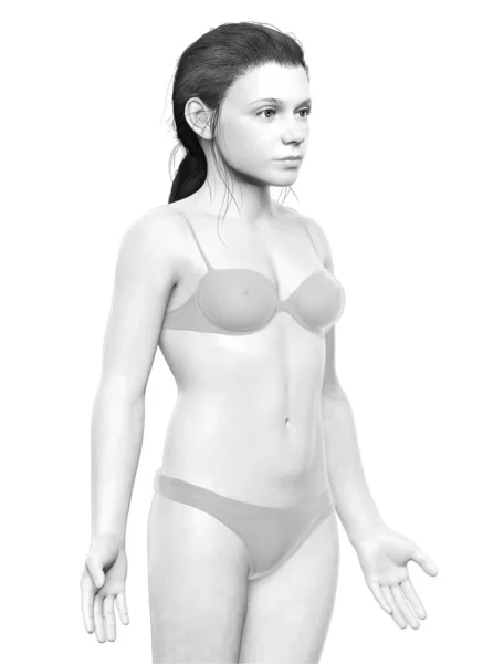 3Dレンダリングイラストの若い女の子の体 — ストック写真