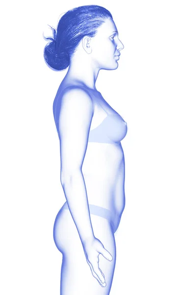 Renderowana Ilustracja Kobiecego Ciała — Zdjęcie stockowe