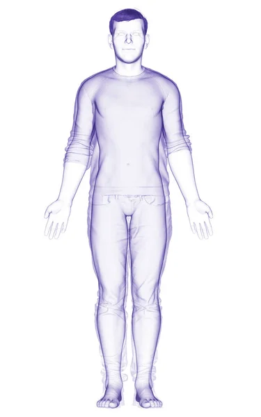 3D描绘了男性的身体 — 图库照片