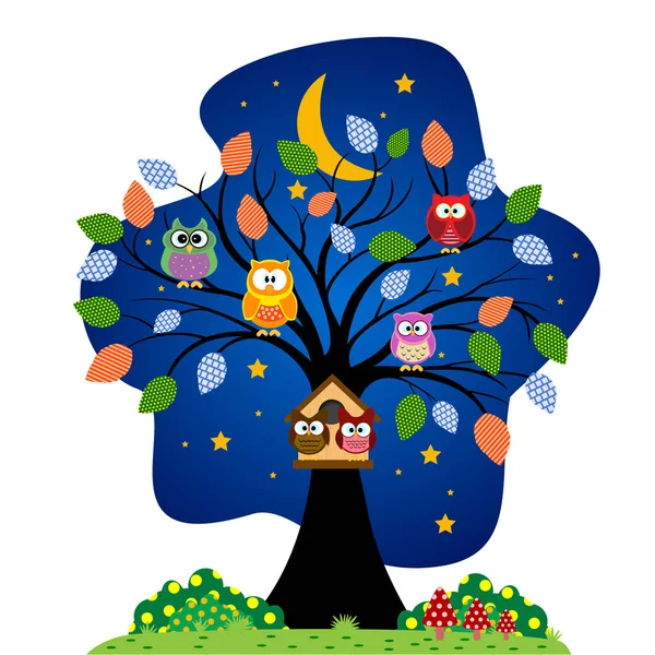 Baykuşlar aile gece parkta