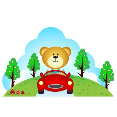 Küçük bir araba ayı