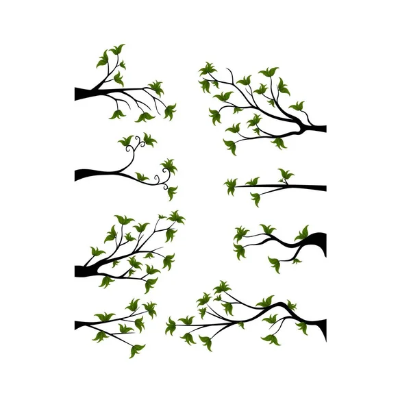 Διακοσμητικά Άνοιξη Υποκατάστημα Δέντρο Σιλουέτα Πράσινα Φύλλα — Διανυσματικό Αρχείο