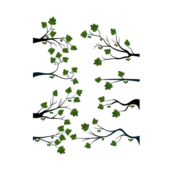 绿色的叶子装饰弹簧分支树剪影 — 图库矢量图片