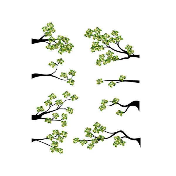 Silueta Decorativa Del Árbol Rama Primavera Con Hojas Verdes — Vector de stock