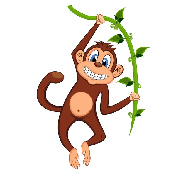 在藤蔓上晃来晃去的猴子 — 图库矢量图片