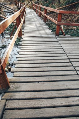 Ormanın içinde ahşap platform