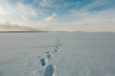 Kardaki ayak izleri mesafeye kadar uzanıyor.