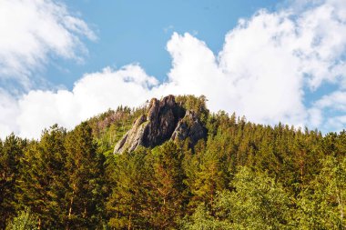 dağ tepe dibinde yeşil orman