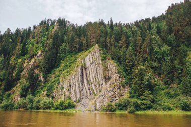 güzel rock ile orman büyümüş