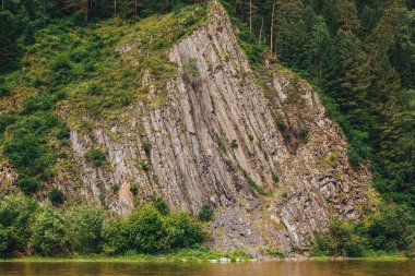 güzel rock ile orman büyümüş