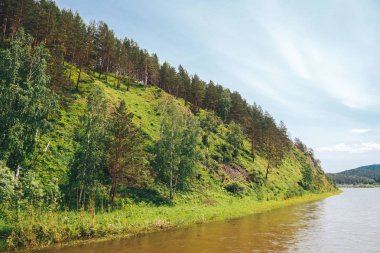 dağ yeşil ağaçlarıyla kaplı