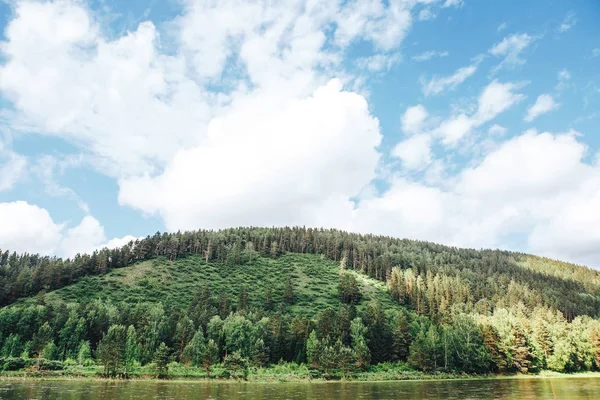 Banka nehrinde sisli orman
