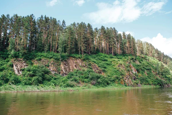 Rivier Bank Met Bomen — Stockfoto