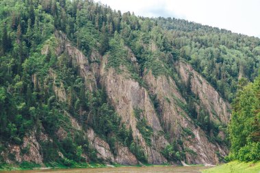 güzel rock ile orman büyümüş