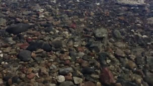 Gros Plan Plage Rocheuse Eau Lave Les Pierres — Video