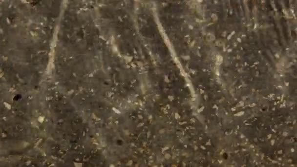 Fond Surface Eau Scintille Sur Eau Ondulations Les Reflets Lumière — Video