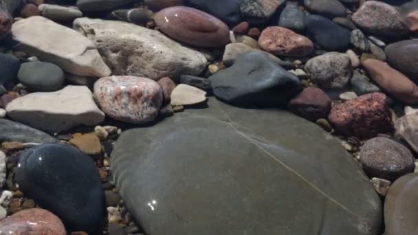 Close Rocky Beach Water Washes Stones — Stock Video