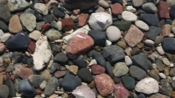 Close Rocky Beach Water Washes Stones — Stock Video