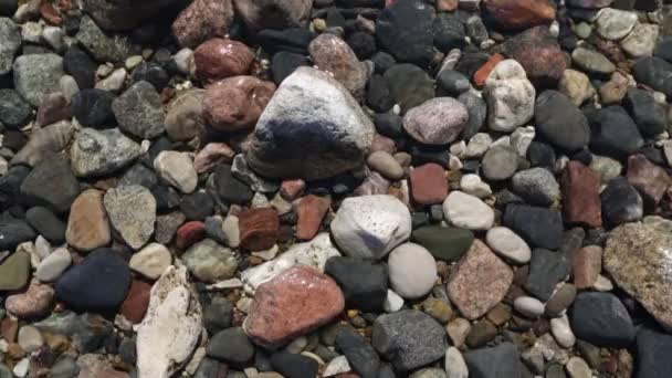 Крупный План Скалистого Пляжа Вода Моет Камни — стоковое видео
