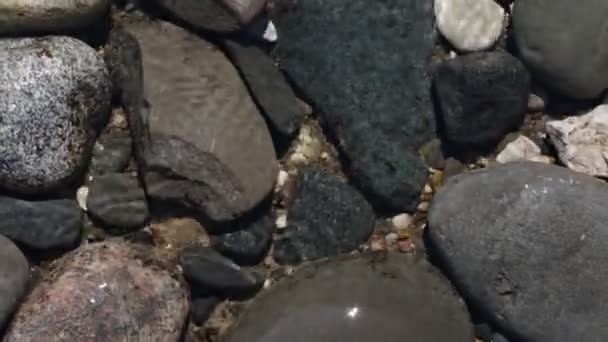 Κοντινό Κομμάτι Της Βραχώδης Παραλίας Νερό Πλένει Τις Πέτρες — Αρχείο Βίντεο
