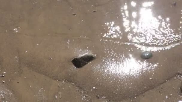 Αμμώδης Παραλία Πλένονται Νερό Κοντινό — Αρχείο Βίντεο