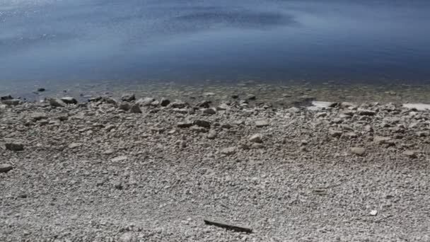 Primer Plano Playa Rocosa Agua Lava Piedras — Vídeos de Stock