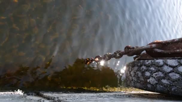 古いドックの厚い錆びた鎖 水の反射 — ストック動画