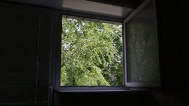 yeşil ağaçların penceresinden görünümü