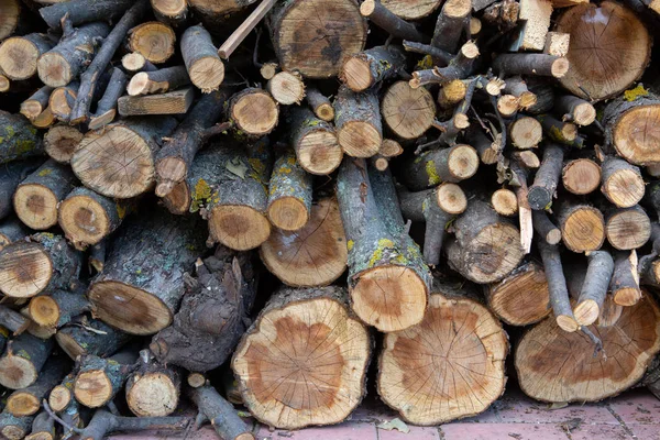 Firewood Stacked Woodpile — Stock Photo, Image