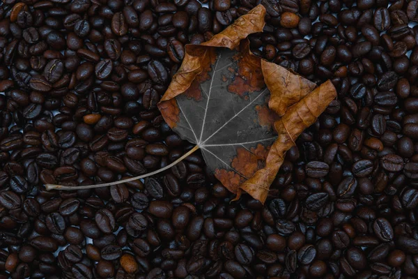 Jesienny Liść Klonu Palonych Ziaren Kawy — Zdjęcie stockowe