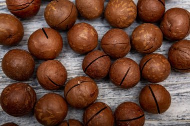 Macadamia nut ahşap arka plan üzerinde
