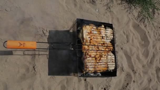 グリル フライ新鮮な肉 チキンバーベキュー ソーセージ ケバブ ハンバーガー バーベキュー バーベキュー シーフード ピーマンと玉ねぎのグリル — ストック動画