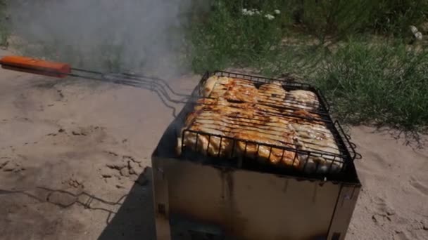 グリル フライ新鮮な肉 チキンバーベキュー ソーセージ ケバブ ハンバーガー バーベキュー バーベキュー シーフード ピーマンと玉ねぎのグリル — ストック動画