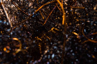 Metal talaşların bükülmüş spiralleri. Soyut arka plan