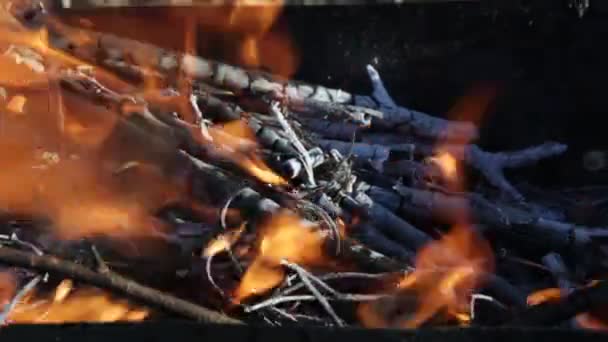 Brandhout Branden Het Vuur Tong Van Vlam — Stockvideo