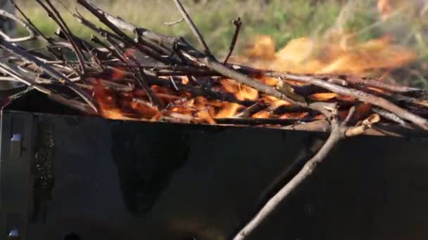 薪が火の中で燃えている 炎の舌 — ストック動画