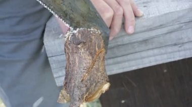 adam işçi elleriyle bir ağaç dalı testere. el iş demir testereyaşam tarzı adam odun testere. ahşap görmek için bir demir testeresi ile adam