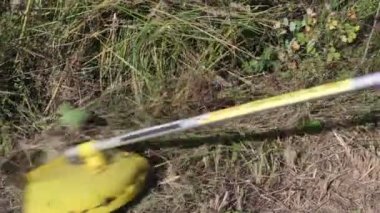 Çim düzeltici. Çim biçme makinesi kırsal kesimde ot ve çalı biçiyor