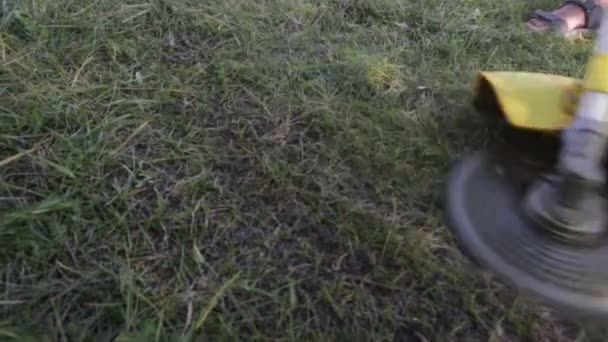 トリマーは緑の草を刈る — ストック動画